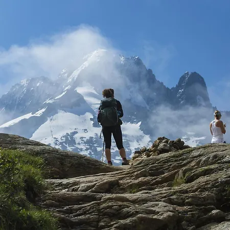 Androsace Daire Chamonix